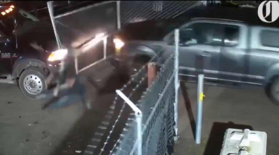 ran over the tow truck driver after she stole her car back - Welcome